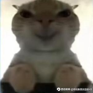 马桶盖 头像