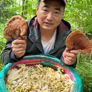林区东哥头像