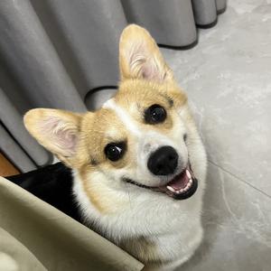 爱美食头像