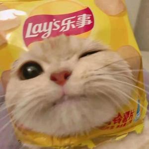 周杨得亿头像