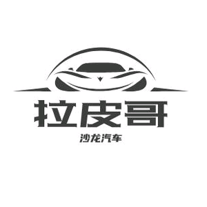 沙龙汽车拉皮哥官方号头像