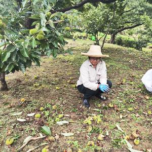 栗香园老师头像