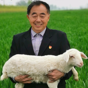 老羊倌日记头像