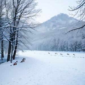 要做飞鸿踏雪泥头像