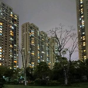 认真博乐2y3头像