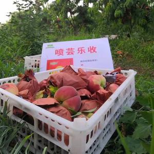 把握自己666999 头像