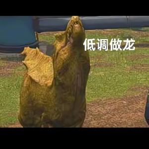 万古不死葬天葬地葬众生头像