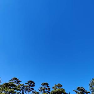 心曲悠悠头像