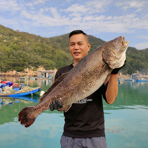 辉哥海味头像