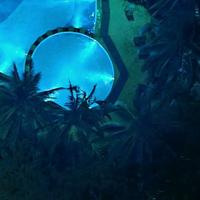 快乐东兴5I1头像