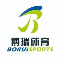 博瑞体育（单招、达级赛）头像