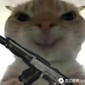 猛偷小老鼠头像