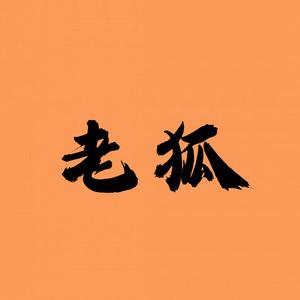 老狐影综头像