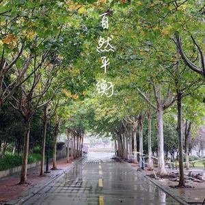萧雲綺头像
