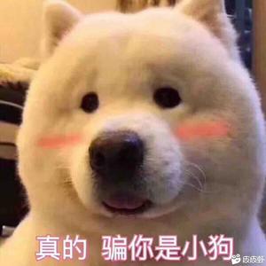 Slience头像