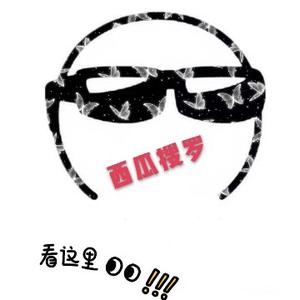 小辣椒观影解说头像