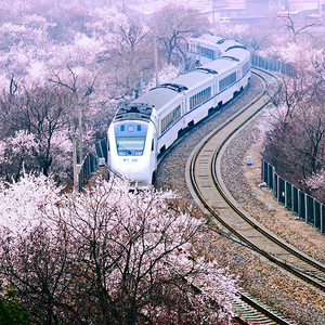 轻松乌海9w3头像