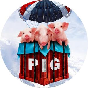 煲冬瓜探长头像