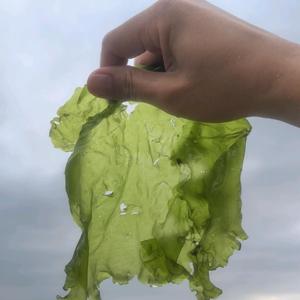 财税许哆哆头像