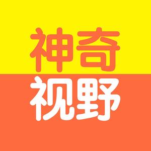 神奇视野头像
