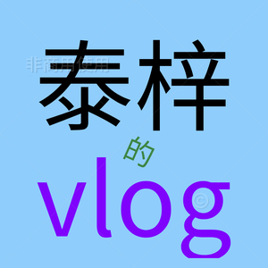 泰梓的vlog头像