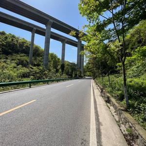 琪琪宝贝头像