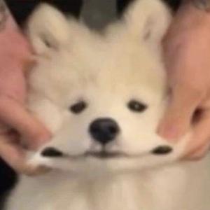 旺仔旺仔爱吃面头像