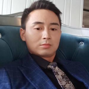 广告安装老杨头像
