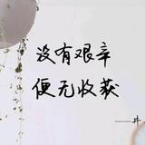 胡杨林里胡杨树头像