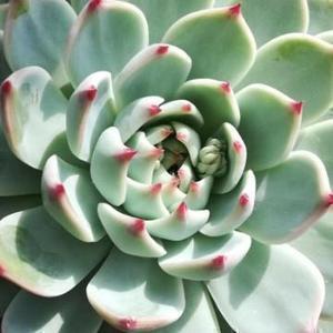 啊钱多多Joy头像