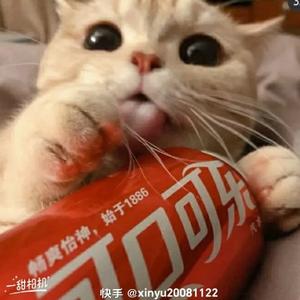 奧利奥猫头像