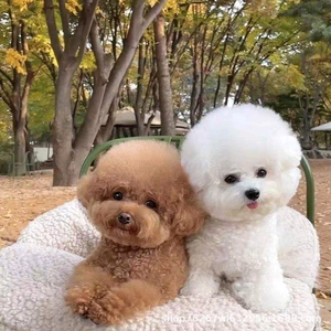 彦亿生活头像