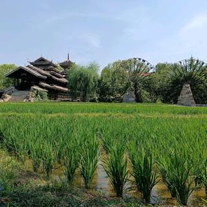 了凡中医学社头像