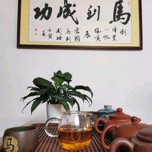 爱喝茶的马哥头像