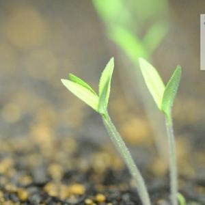 大罗生活录 头像