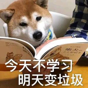 搞笑快车1i7L头像