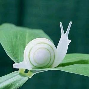 小胖养蜗牛头像