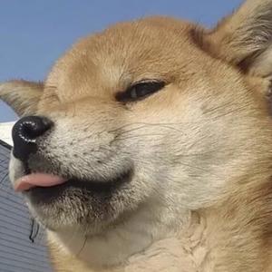 大头爱搞笑头像