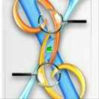 自信科里7g5头像