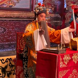 子龙少将（襄城越调）头像