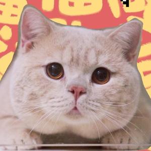 GLpurrcat呼噜猫舍头像