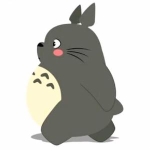 龙猫头像