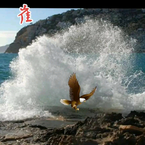 是我C|y头像