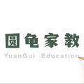 圆龟家教头像