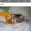 可靠书签hlI头像