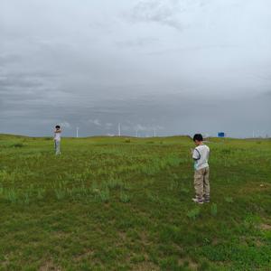 华茂霖峰头像