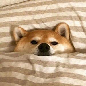 柒柒娱乐头像