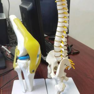 古今中外头像