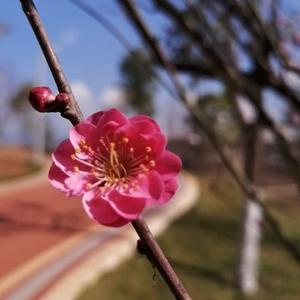 朝霞散记头像