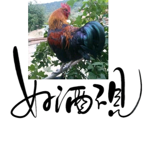 启航浪子头像